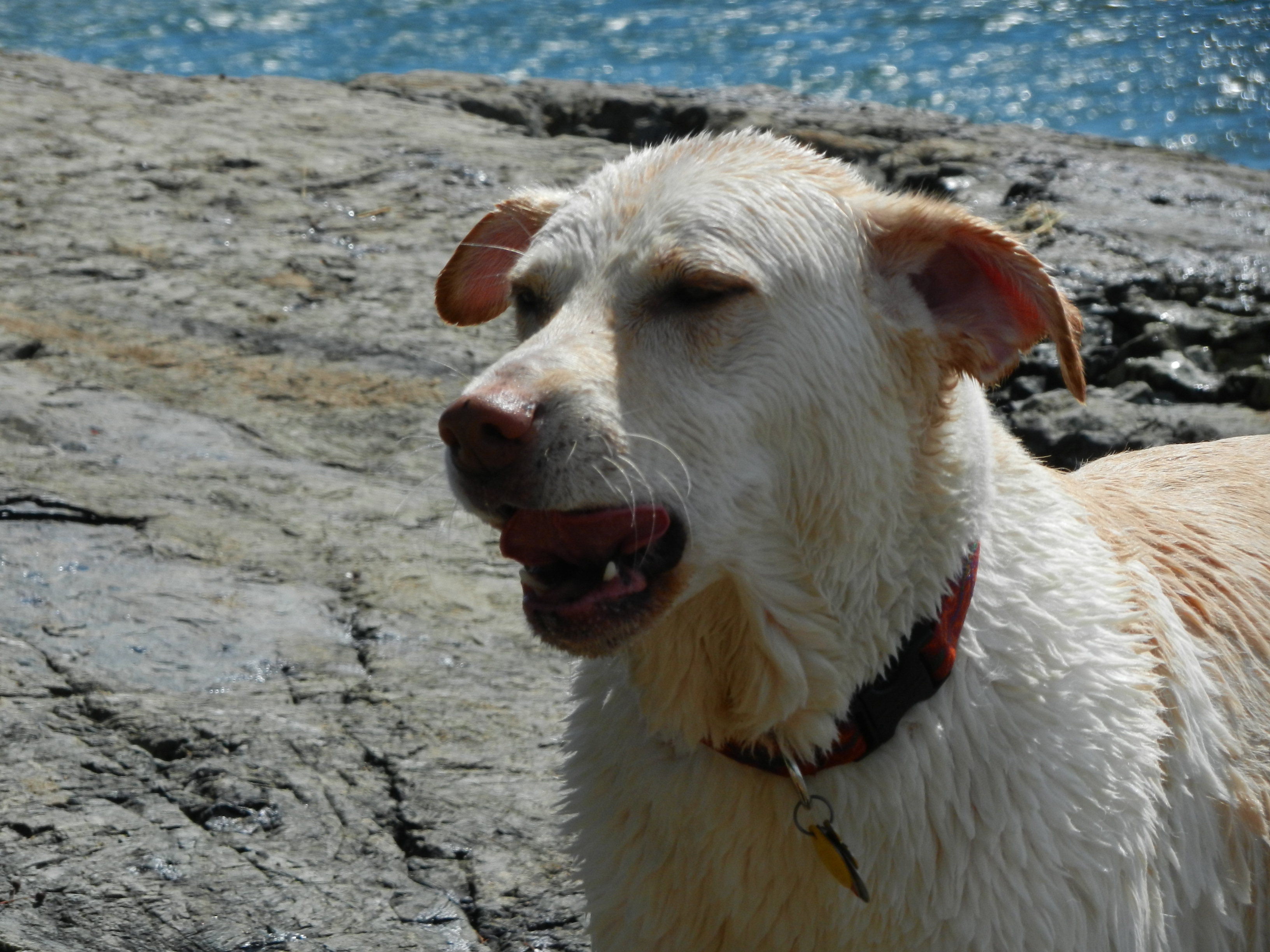 Fenway at Schoodic